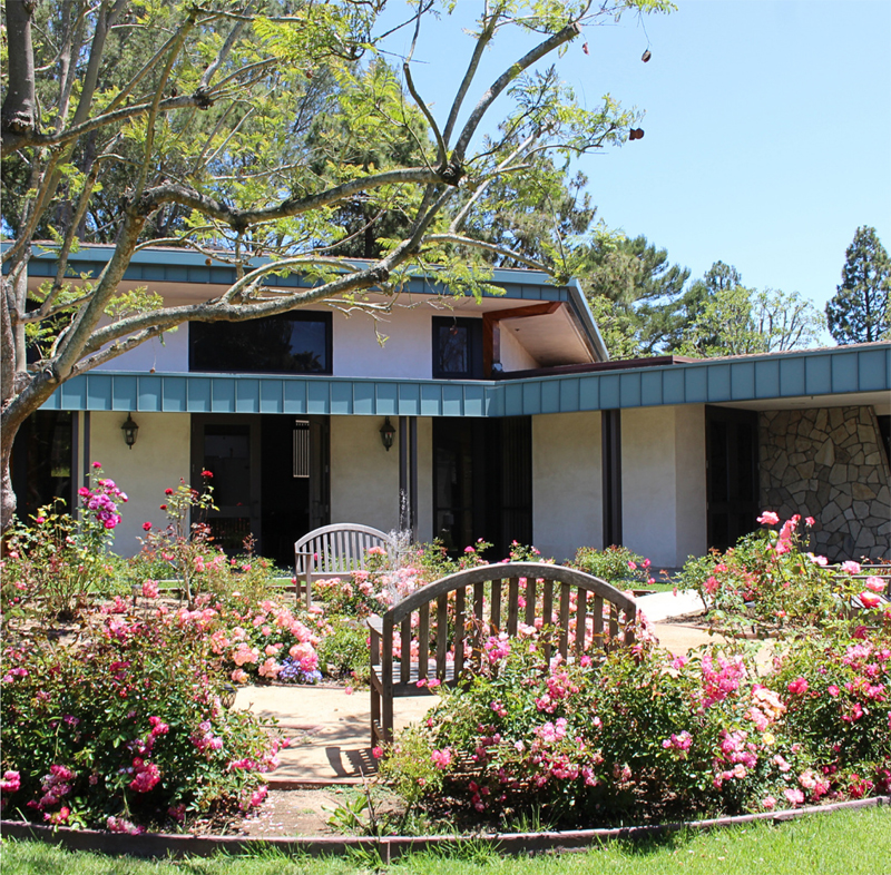 The Olive Press September 2024 Edition 28